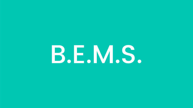 B.E.M.S. <span>(Bachelor of Electrohomeo Medicine and Surgery)</span>